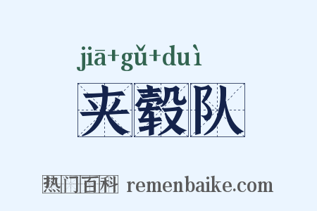 夹毂队是什么意思的图片